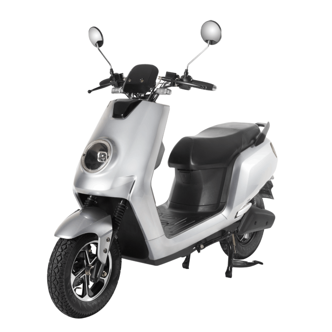 Joy e-bike Glob (Standard)
